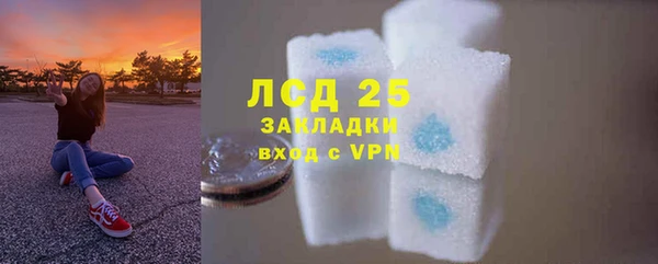 крисы Верея